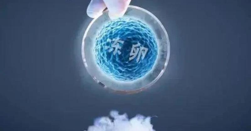 www.sgnews.co