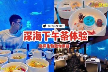 新加坡首个深海下午茶体验💙海洋生物陪你用餐、沉浸式的浪漫体验🐠现已开放预订