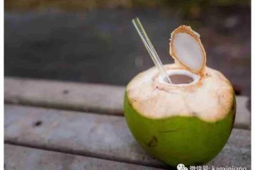 椰子浑身是个宝，喜欢椰子的朋友一定要看哦