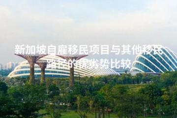 新加坡自雇移民项目与其他移民路径的优劣势比较
