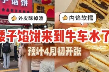 矮子馅饼来到新加坡牛车水咯！外皮酥脆掉渣、内馅软糯，口感层次超丰富😋
