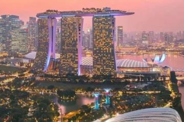 新加坡政府中学网址及地址大全