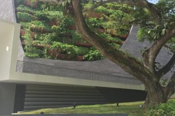 李光前自然历史博物馆迎来十周年庆典