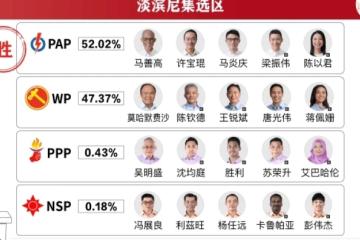 【GE2025】淡滨尼集选区：人民行动党胜出