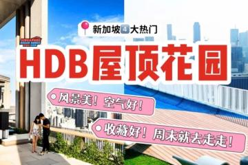 4️⃣座HDB上的超美屋顶花园✨ 开放式天空花园，俯瞰城市美景，绝对值得一逛🌿💚