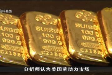国际金价飙升 本地购买金块顾客增加至少两成