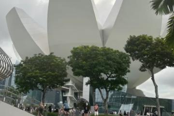 2025新加坡政府助学金全解析：低成本留学+职业发展双赢攻略