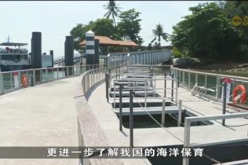 绿动新加坡活动回归 推出900多个项目