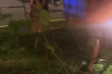 惊险！宏茂桥两车猛烈相撞损毁严重，女童昏迷！目击者挺身救援，现场画面曝光
