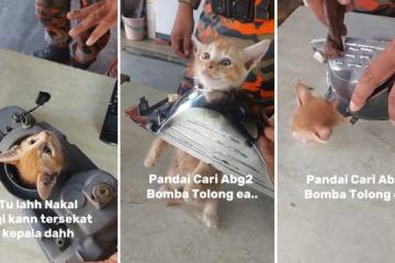 调皮橘猫卡进车头灯 马国猫主急奔消防局求援