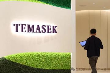 不法分子冒用新加坡淡马锡旗下公司名义在中国诈骗，涉案金额高达5亿人民币！