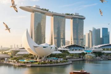 新加坡公司税务战略全攻略：打造全球竞争力，筑牢双征税风险“防护墙”