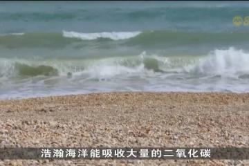英国科学家展开海洋碳吸收试验 让海洋能重新吸收更多大气中二氧化碳