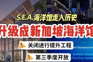 圣淘沙S.E.A.海洋馆走入历史！目前关闭升级中，下半年以“新加坡海洋馆”重新出发🌊馆内亮点抢先看！
