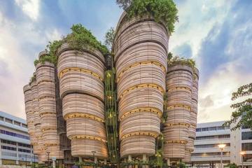 南洋理工大学 NTU 新开荣誉学院：“别人家的孩子”又多了一张顶级 “入场券”