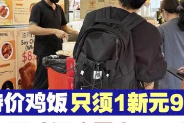 特价鸡饭只须1新元9角　邻里鸡饭店日卖500盘