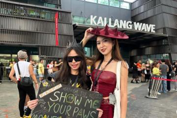 女神卡卡狮城开唱 粉丝亲手制作服装盛装出席
