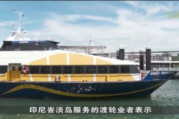 学校假期带动渡轮船票销量 邮轮公司计划开辟越南和印尼新航线