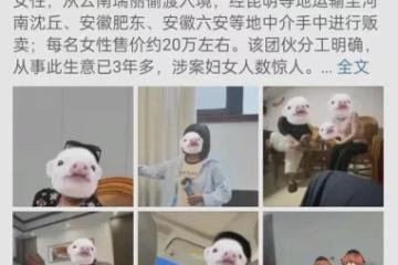 东南亚人口贩卖黑幕：买媳妇仅需23万、非处包换、跑一个赔50%…