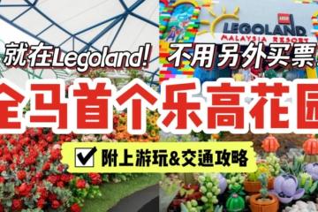 全马首个LEGO®花园，亲子打卡新地标🌹从新加坡去LEGOLAND超方便～游玩攻略准备好给你了！