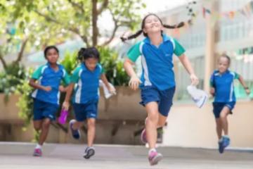2025新加坡国际学校择校指南：从学费到IB成绩，14所名校全方位对比解析