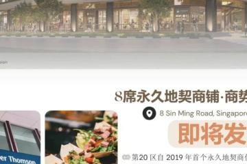 福茗轩 · Artisan 8 永久地契·爱同&公教双学区·商住综合力作
