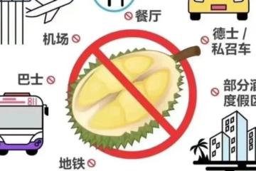 在新加坡酒店吃榴梿被罚近千元？还有比这个更狠的！