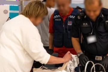狮城6机构海陆空关卡执法 近2万游客受查 172人被罚