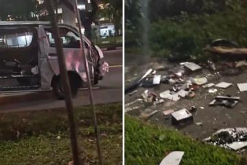 后港发生车祸 目击者：树被撞倒碎片满地
