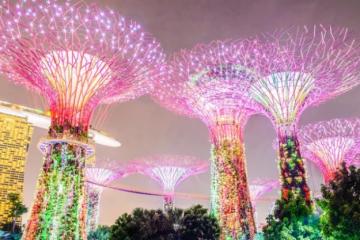 撕开东南亚市场：新加坡篇