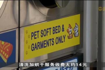 自助洗衣店业者看准商机 增设宠物专用洗衣机和烘干机