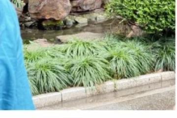 泪崩！学霸距满分仅差6分！？高三学生跳楼！掀教育悲歌：孩子，你值得被爱！