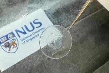 新加坡国立大学研发出新型生物材料，为心脏抗衰老治疗开辟了新途径