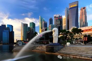 新加坡特辑 小国大奇迹：舌尖上的熔炉、未来之城与多元文化的交响画卷