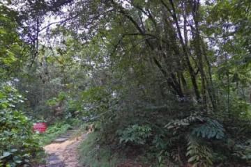男子在森林禁区遭受枪伤 目前情况稳定